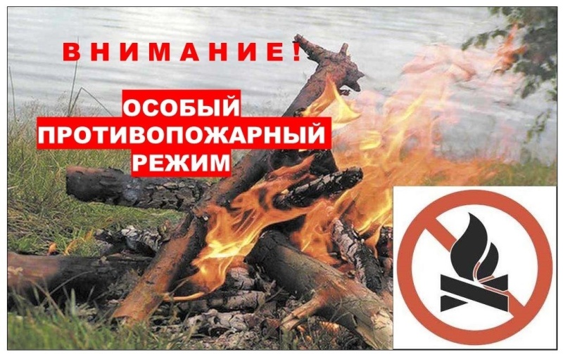 На территории Оренбургской области с 16 мая 2023 года установлен особый противопожарный режим.